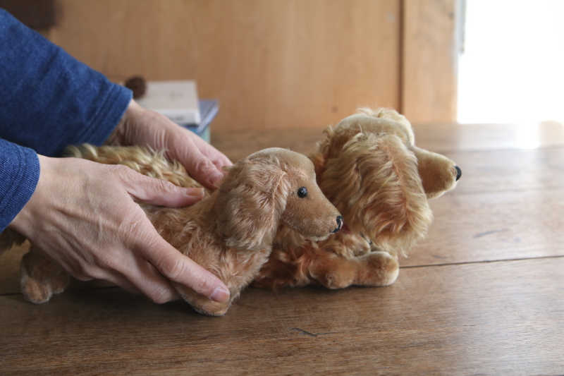 Steiffのダックスフンド　waldi ドイツ　アンティークストリュフ