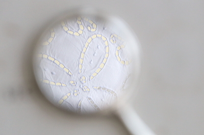 スモールシルバーハンドミラー　イギリス　アンティークストリュフ