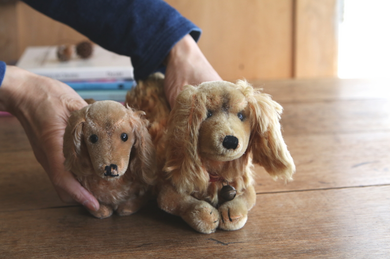 Steiffのダックスフンド　waldi ドイツ　アンティークストリュフ