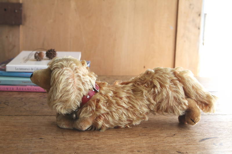 Steiffのダックスフンド　waldi ドイツ　アンティークストリュフ