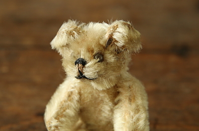 Schucoのミニチュアベア　talisman miniature bear シュコー　ドイツ　アンティークストリュフ
