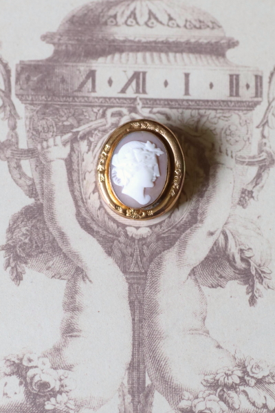 ヴィクトリアンシェルカメオ　神々の肖像　イギリス