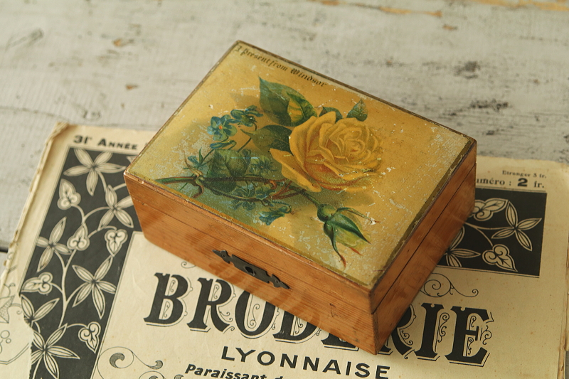 黄色いバラのモシュリンヌボックス　ウィンザー　イギリス