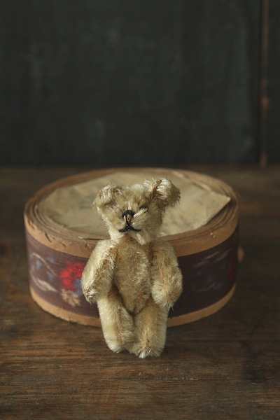 Schucoのミニチュアベア　talisman miniature bear シュコー　ドイツ　アンティークストリュフ