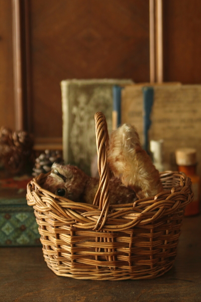 小さなハンドルバスケット イギリス チャイルドバスケット