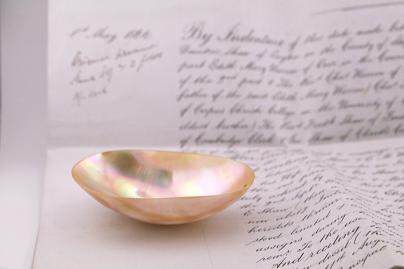 貝殻のジュエリートレイ　イギリス　アンティークストリュフ