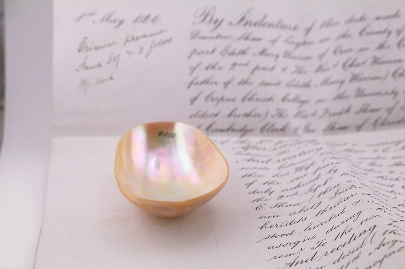 貝殻のジュエリートレイ　イギリス　アンティークストリュフ