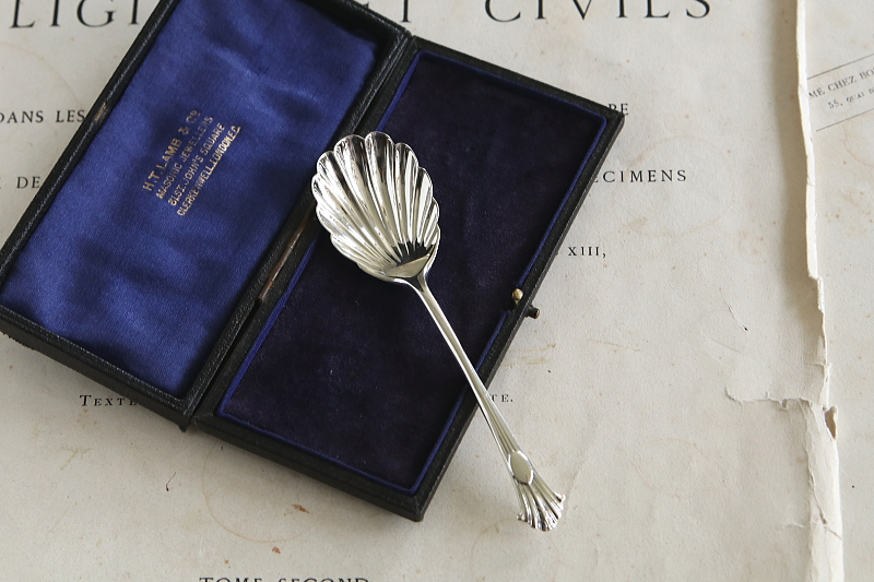 ヴィクトリアン　シェル型サービングスプーン　イギリス　アンティークストリュフ