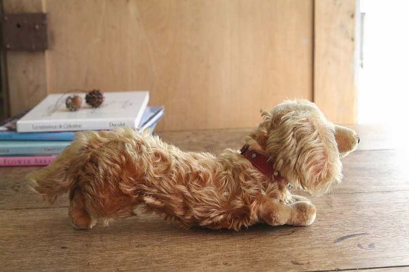 Steiffのダックスフンド　waldi ドイツ　アンティークストリュフ