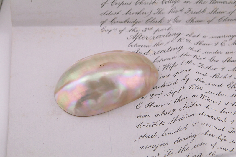 貝殻のジュエリートレイ　イギリス　アンティークストリュフ