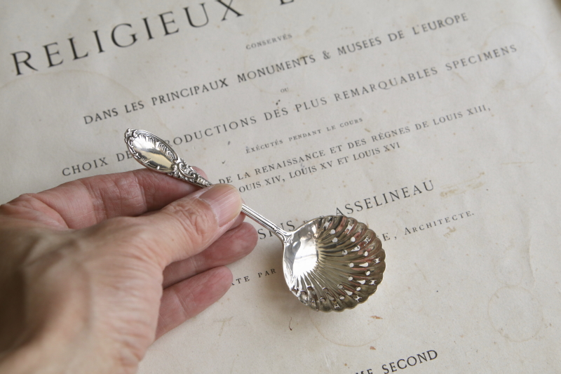 ロココパターンのシュガーシフタースプーン　イギリス　アンティークストリュフ