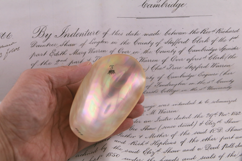 貝殻のジュエリートレイ　イギリス　アンティークストリュフ