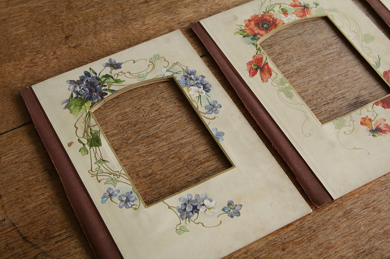 ヴィクトリアンのアルバムページ　ボタニカルアート　イギリス アンティークストリュフ