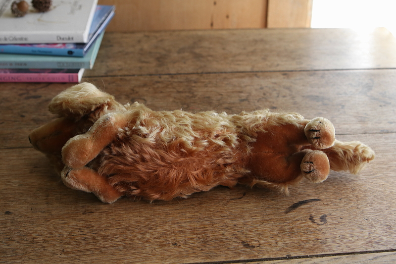 Steiffのダックスフンド　waldi ドイツ　アンティークストリュフ