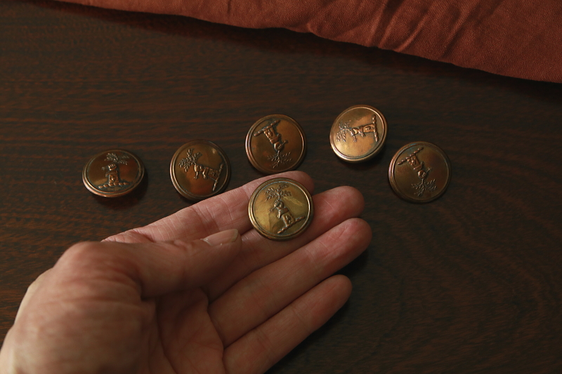 ヴィクトリアンリバリーボタン　苗木を握る手　イギリス　アンティークストリュフ