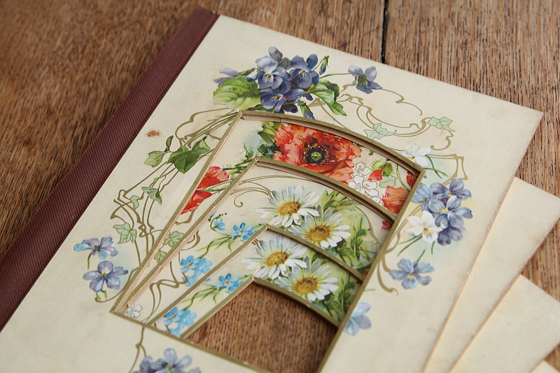 ヴィクトリアンのアルバムページ　ボタニカルアート　イギリス アンティークストリュフ