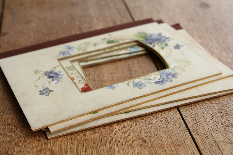 ヴィクトリアンのアルバムページ　ボタニカルアート　イギリス アンティークストリュフ