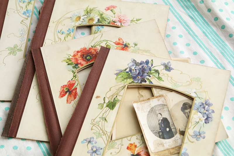 ヴィクトリアンのアルバムページ　ボタニカルアート　イギリス アンティークストリュフ