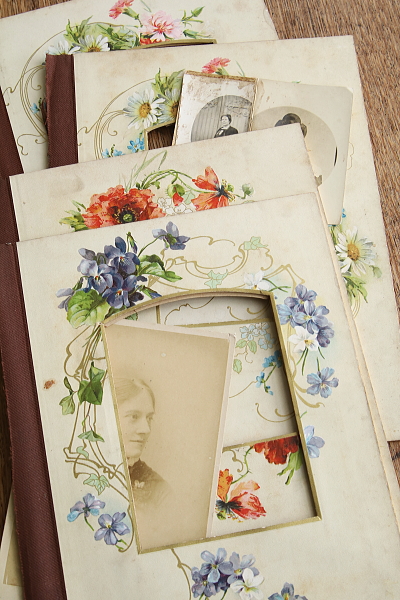 ヴィクトリアンのアルバムページ　ボタニカルアート　イギリス アンティークストリュフ 20251104