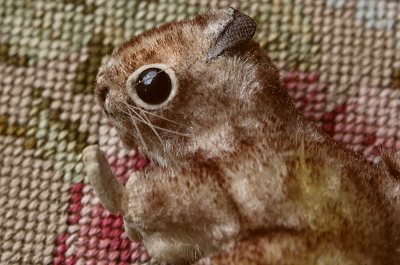 Steiff シュタイフ Perri ペリ リス リスノperri steiff シュタイフ ペリ ディズニー ドイツ アンティーク