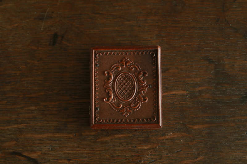 少女のガラス写真　ユニオンケース　アンブロタイプ　イギリス　アンティークストリュフ