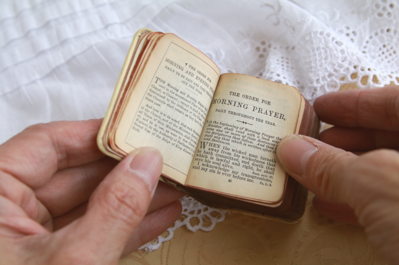 天使のセルロイド表紙祈祷書　エンジェルズヘッズ　ジョシュア・レイノルズ　イギリス　アンティークストリュフ