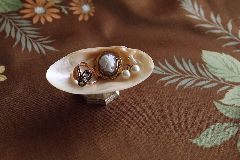 貝殻のアクセサリースタンド　シェル　マザーオブパール　イギリス