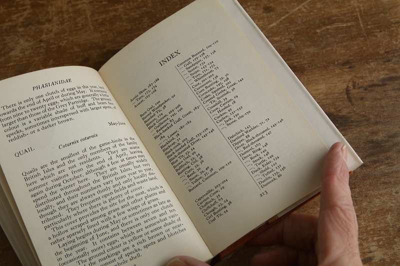 the observer's bookbirds' eggs mushroom toadstool 鳥の卵　キノコ　イギリス アンティークストリュフ