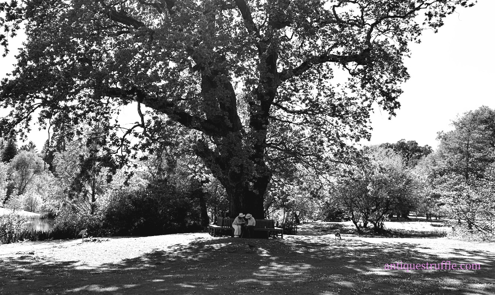 京都市左京区のアンティークショップ　フランス・イギリスのジュエリー・家具・雑貨・ブロカントの販売 ｜ 【Antiques Truffle】 アンティークス　トリュフ　京都　鹿ケ谷